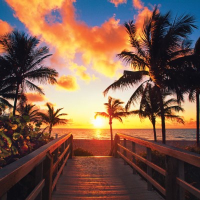 1920 x 1080 HD Wallpapers 3003